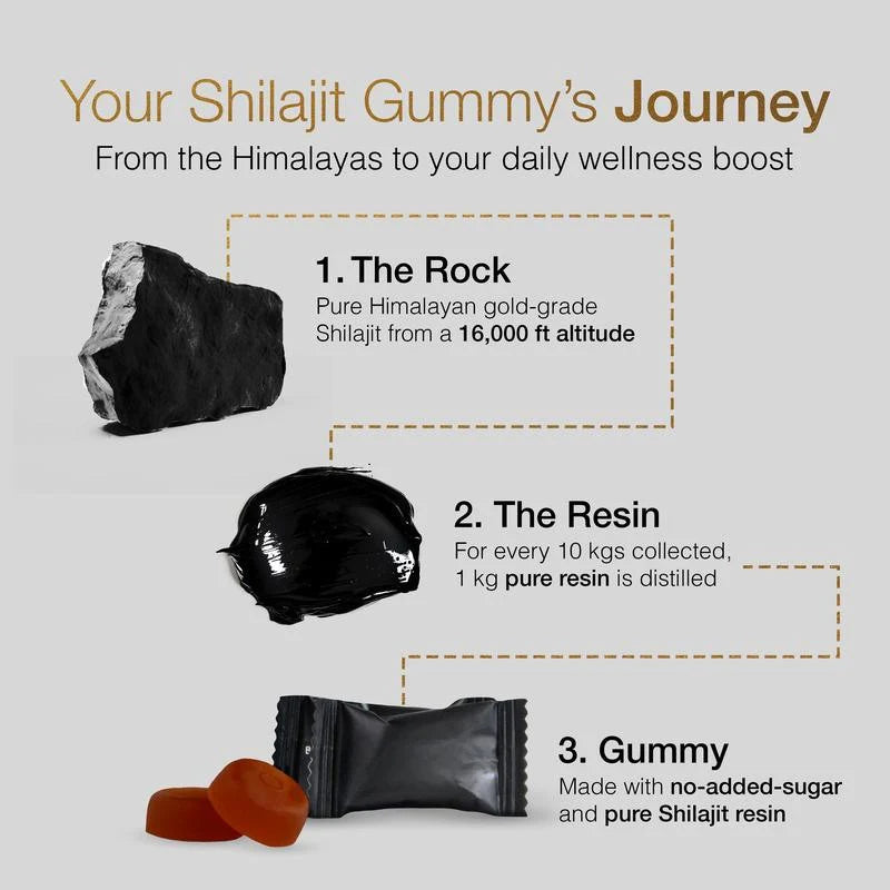 TruHealth™ | Shilajit Gold Gummies