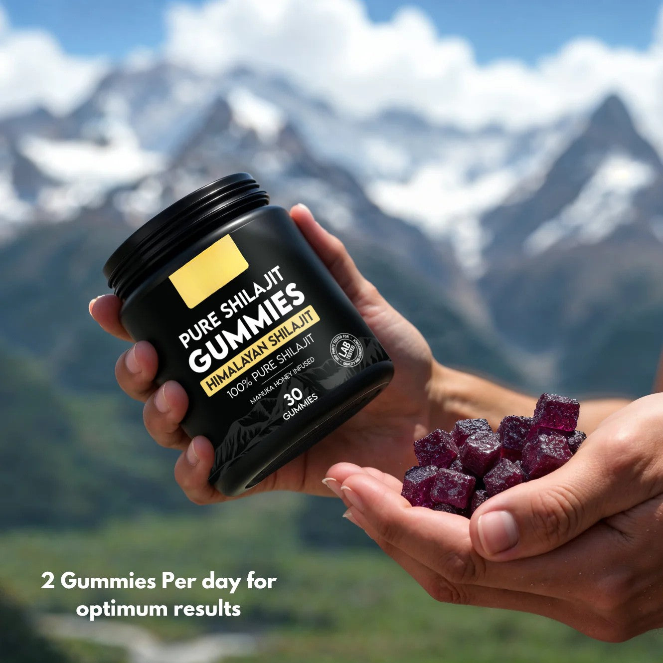 TruHealth™ | Pure Himalayan Shilajit Gummies