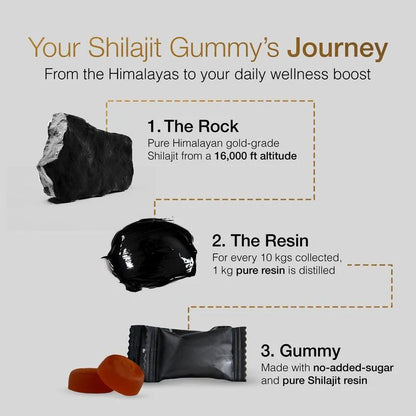 TruHealth™ | Shilajit Gold Gummies