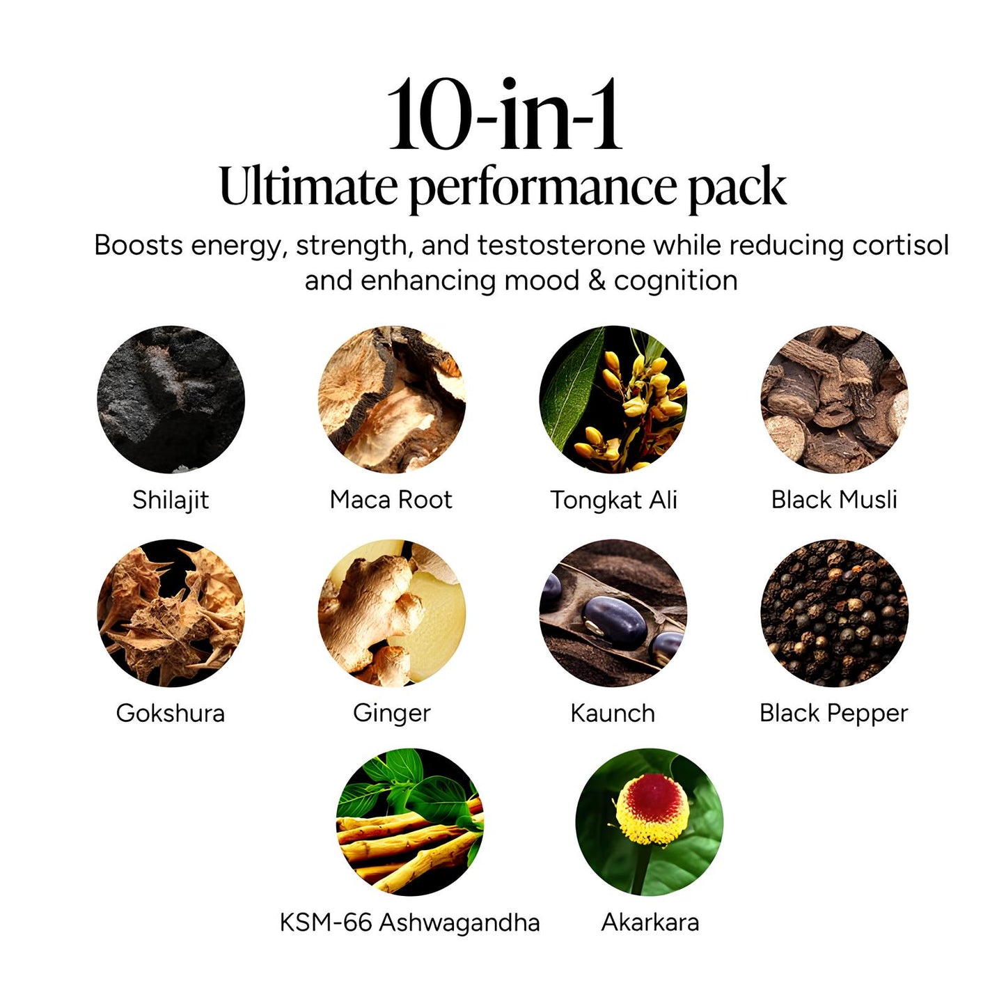TruHealth™ l 10-in-1 Alpha Shilajit Gummies